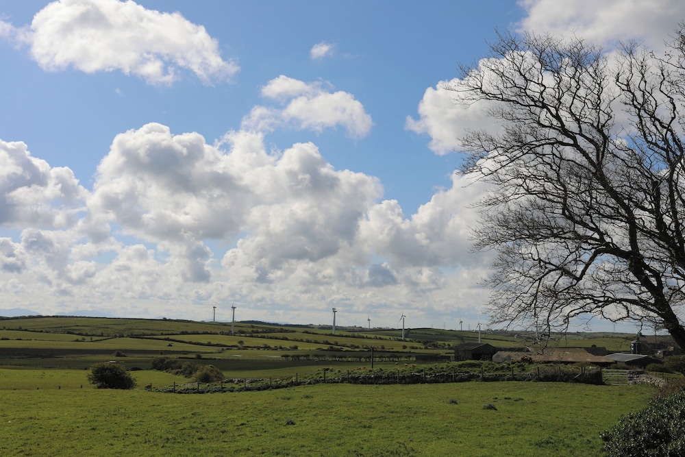 Tregynrig Bach