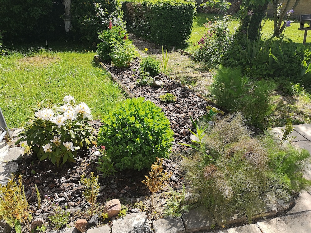 Photo 31