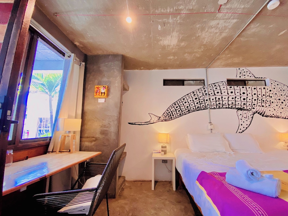 Perro Surfero Hotel Boutique - Todos Santos, BCS