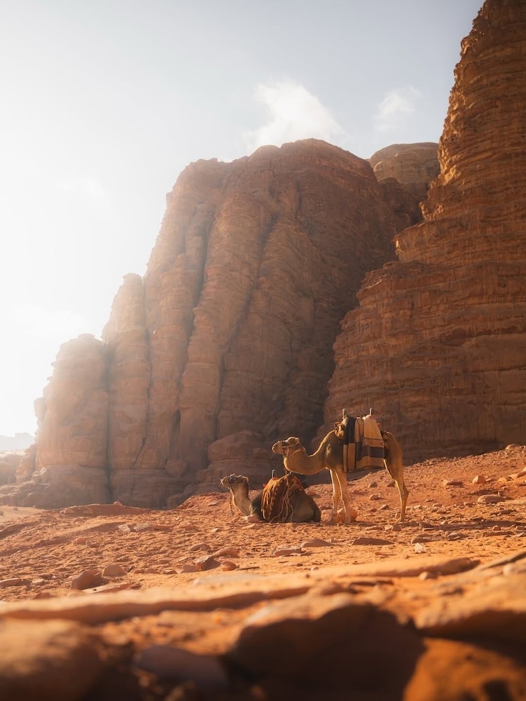 Wadi Rum Moon