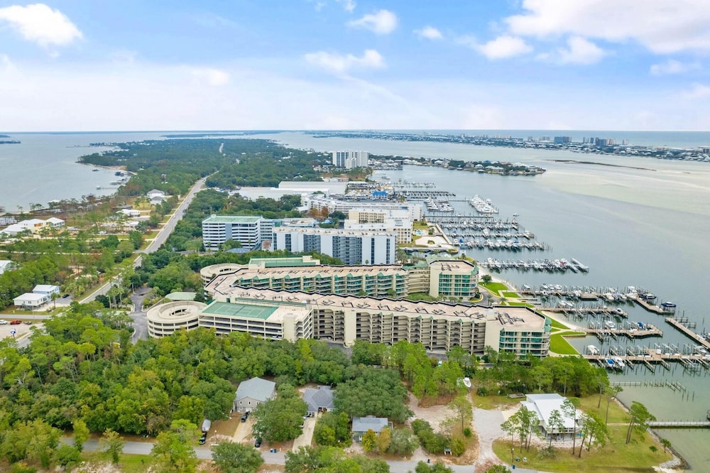 Phoenix On The Bay 1108