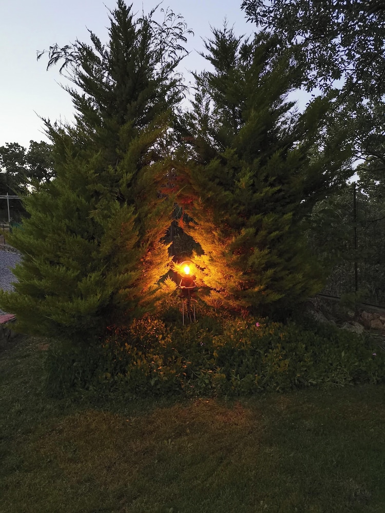 Photo 43