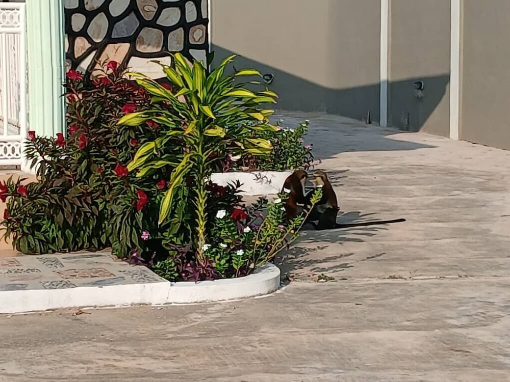 Madora Lodge