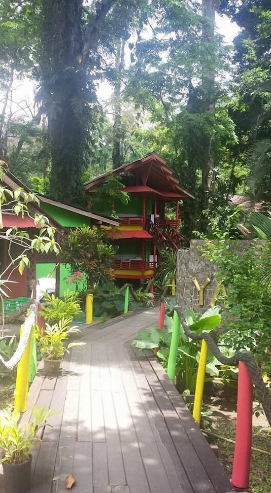 Yare Jungle Lodge