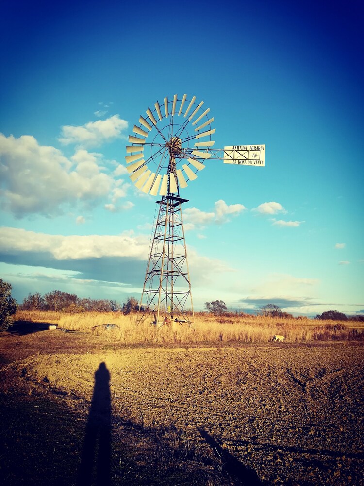 Vento di Maremma