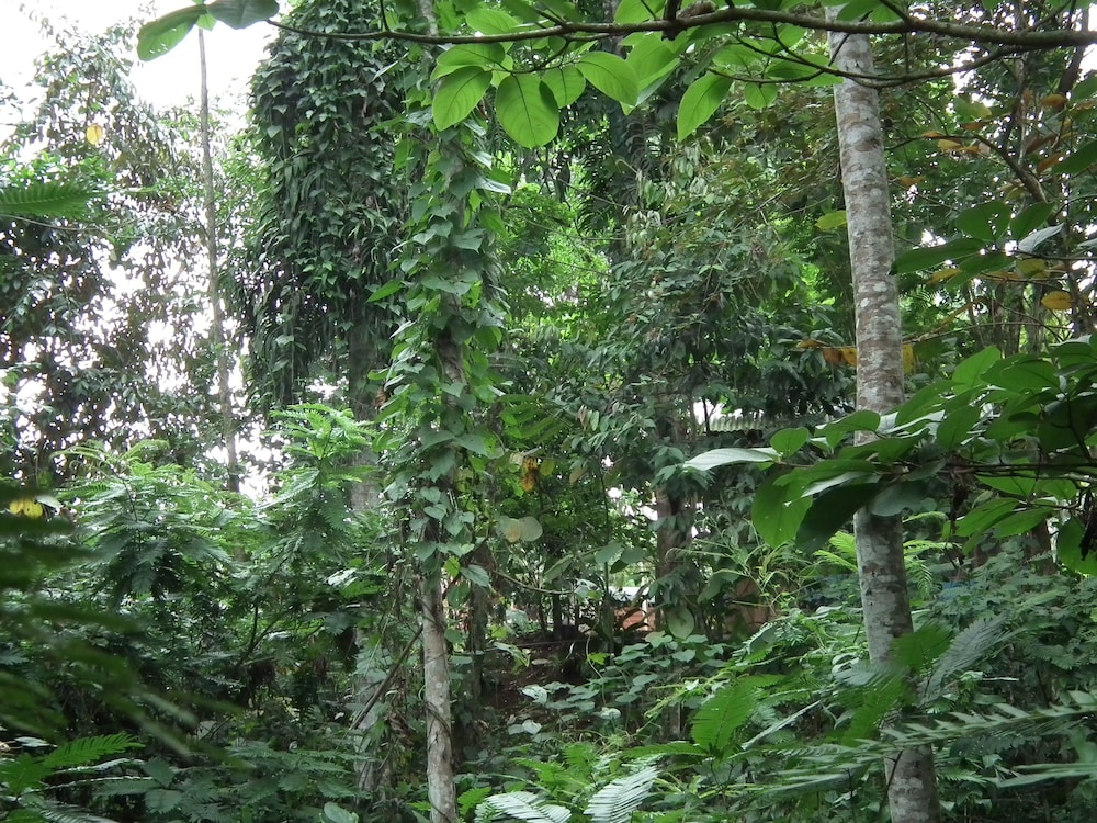 Hotel Valle Azul