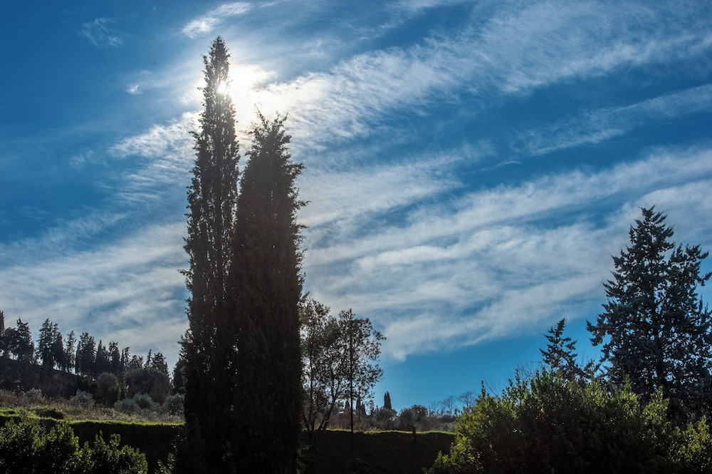 Villa Chianti With Infinity Pool And Vineyard View