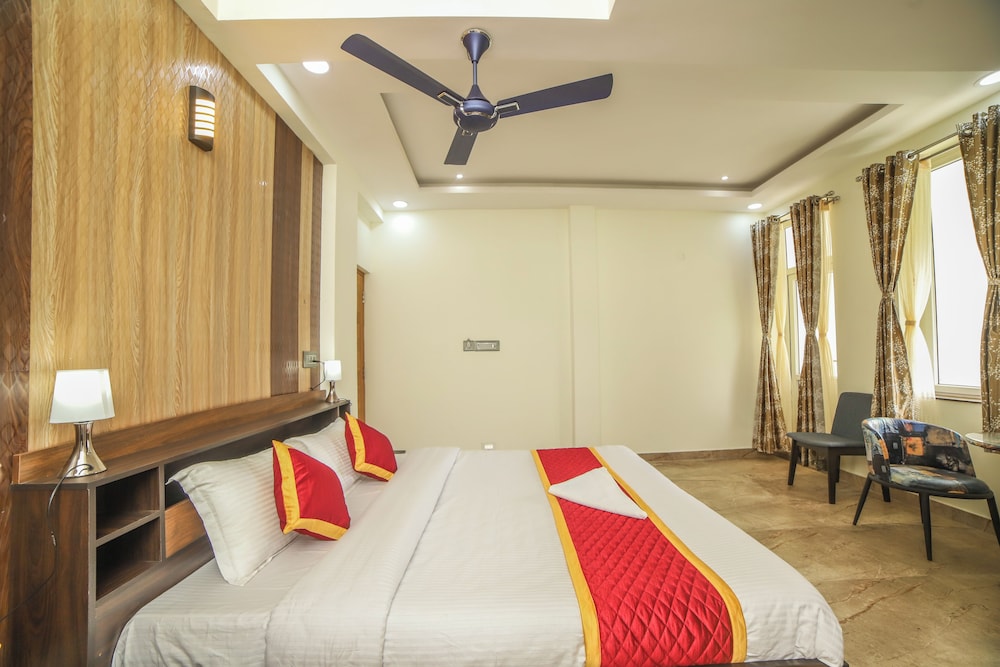 AVJ Nest view 5