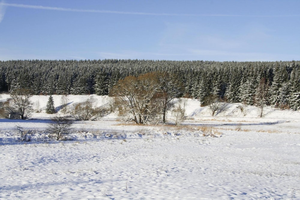 Apartment Braunlage Near Wurmberg Ski Area