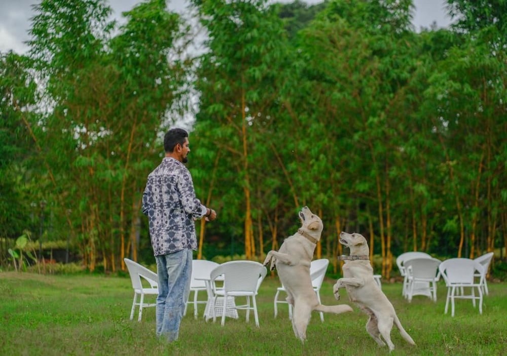 Kedara Resort Wayanad by VOYE HOMES