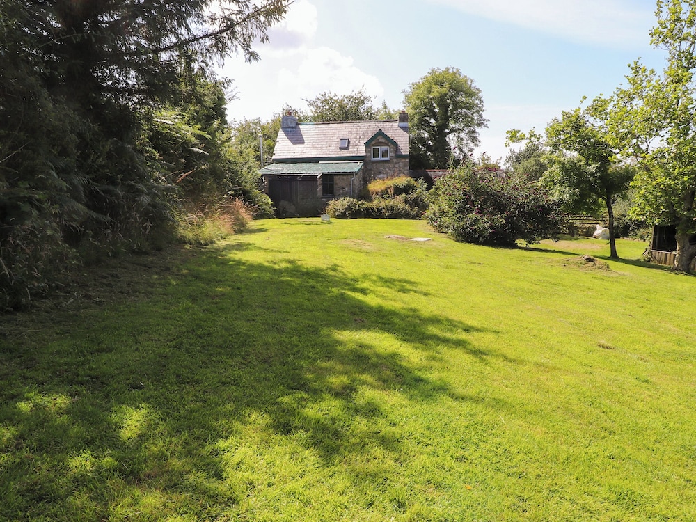 Penfeidr Newydd