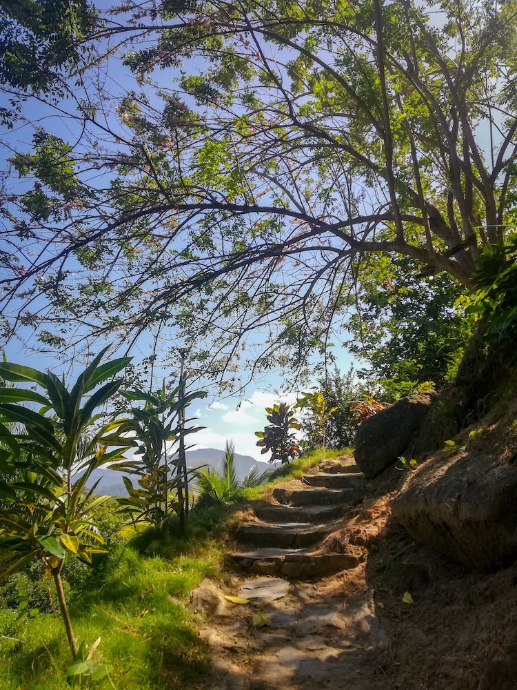 Ecohabs Bosques del Tayrona
