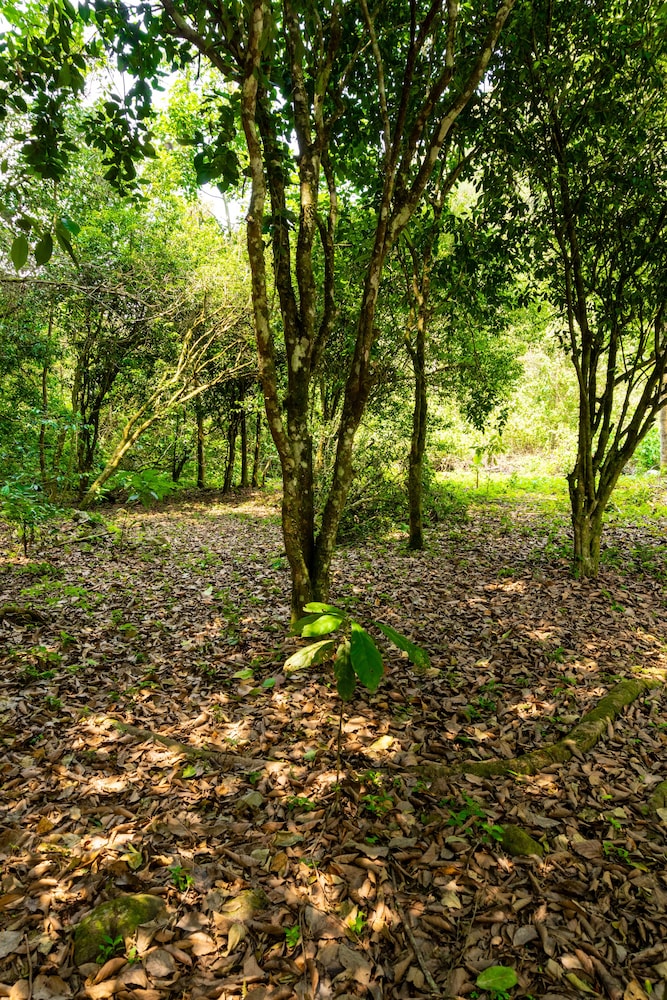 Casa de campo Los Yungas