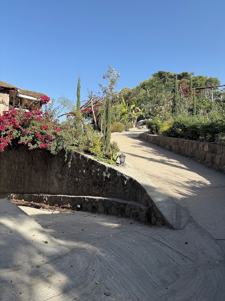 Hilltop Lodge - Lalibela