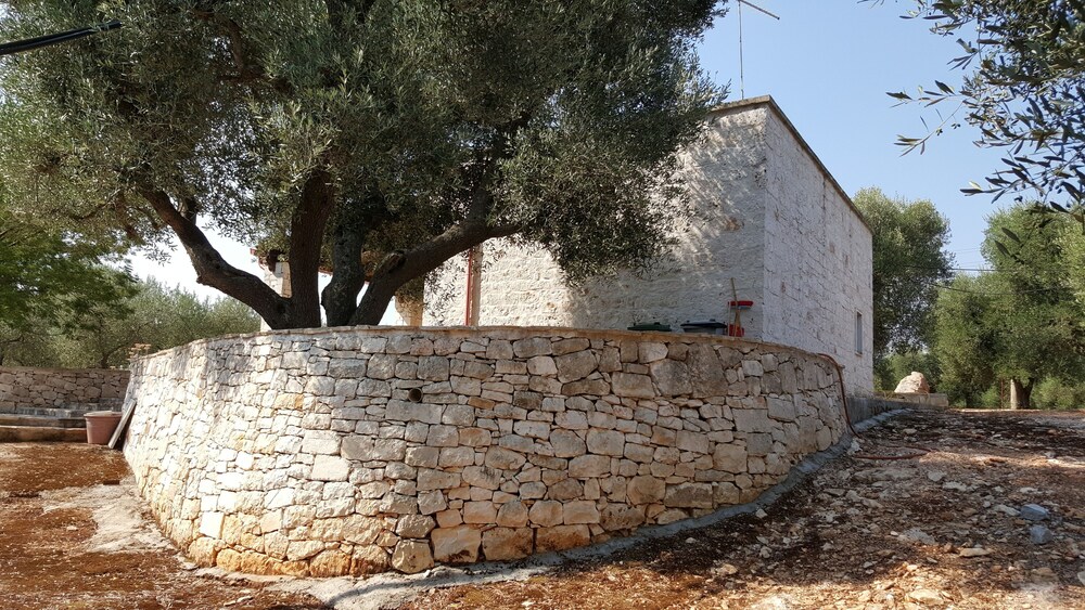 Photo 25