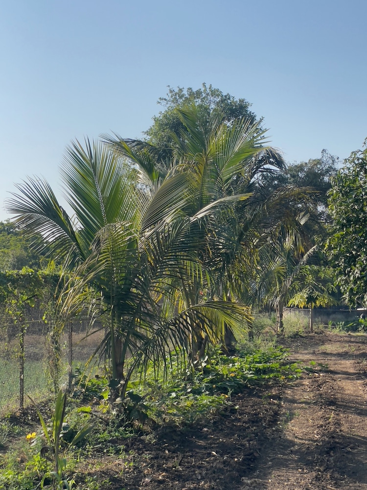 Fulgulab Lawns & Homestays