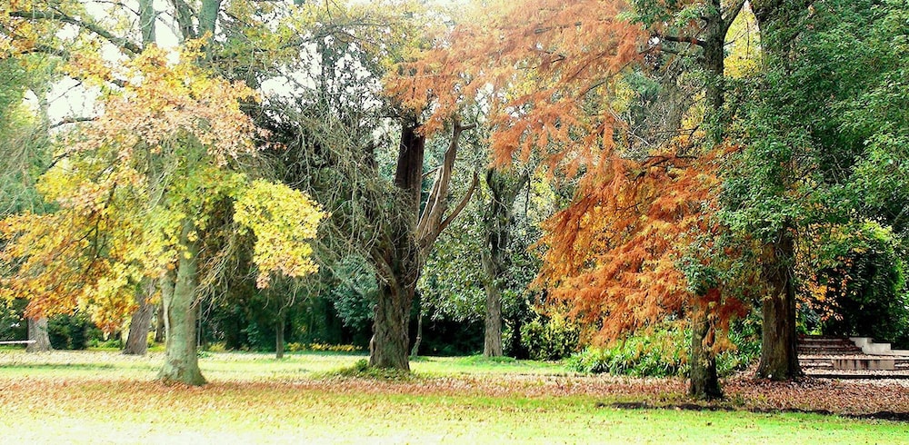 Estancia Monte Viejo