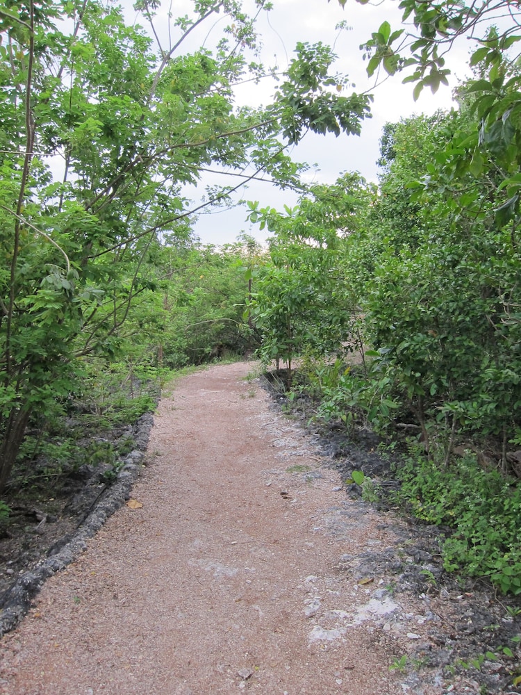 Photo 45