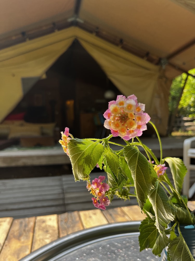 Campo Portakal Eco Glamping Cirali