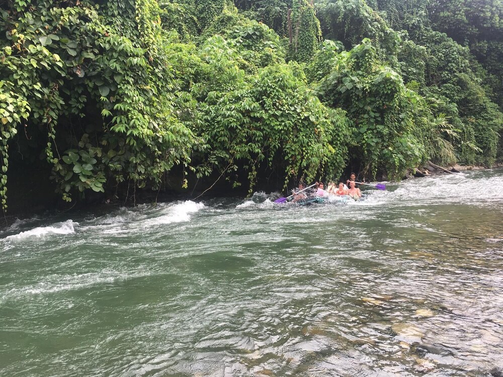 Green Lodge Tangkahan