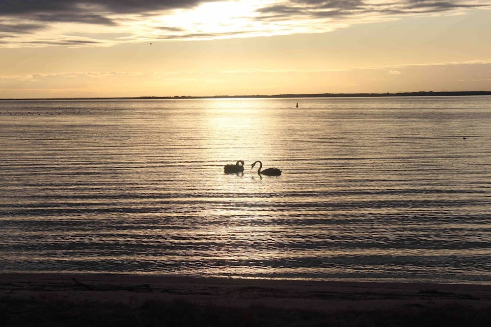 Unwind Escape to the Lakeside