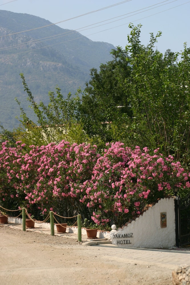Yakamoz Otel - Image 11
