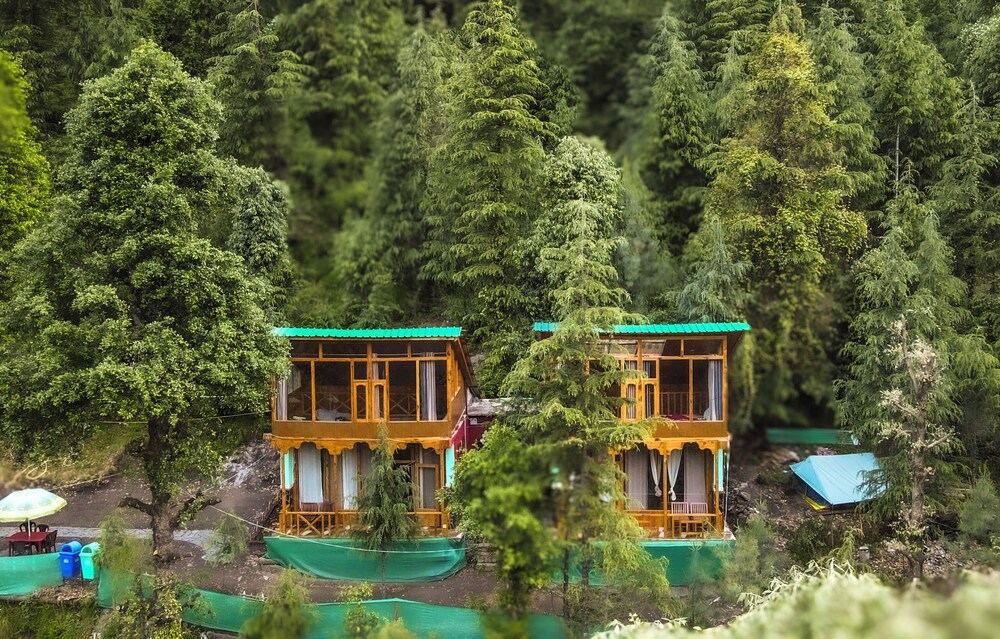 WOW Treehouse & Cottages