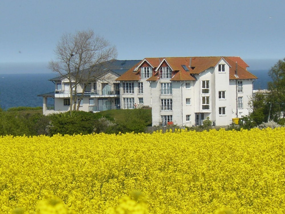Nice Apartment Near Seabeach