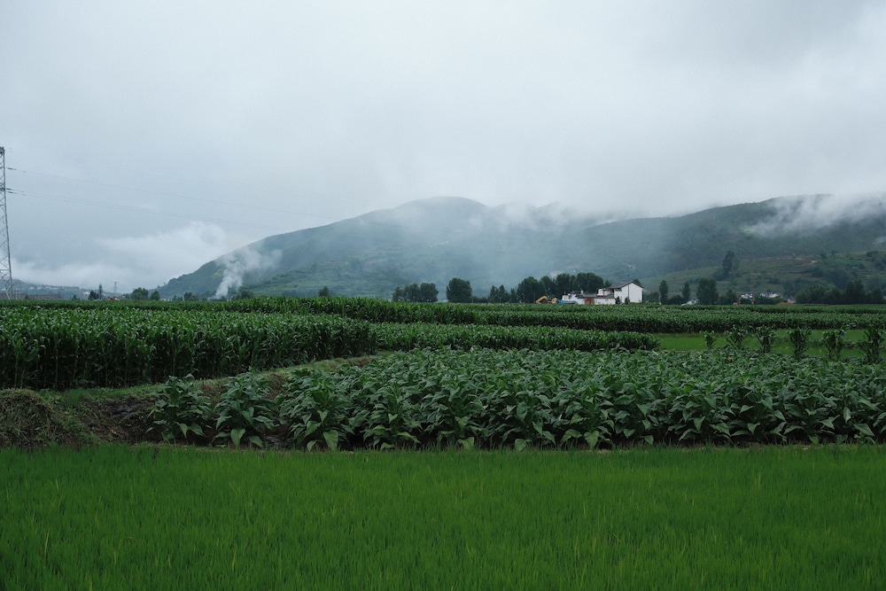 Shaxi Ancient Town Chang Le Li Chinese Courtyard Hotel