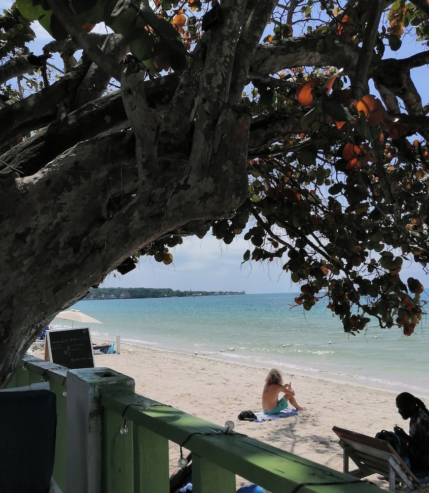 Yoga Dreams Negril