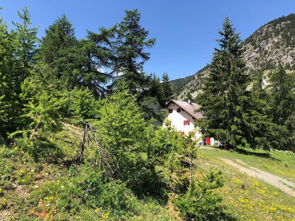 Photo 21