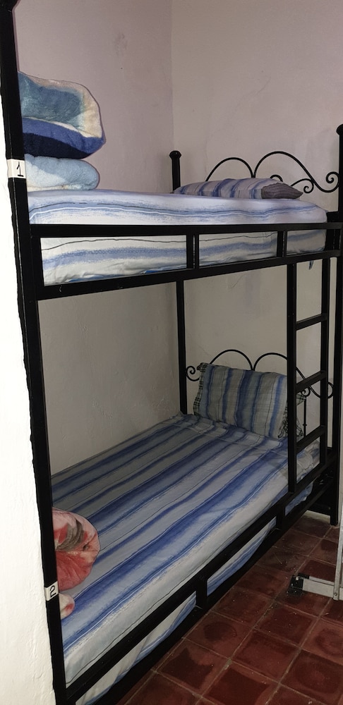 aline hostel