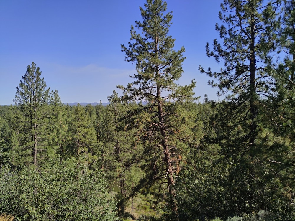 7th Mtn 823f 3 Bedroom Condo