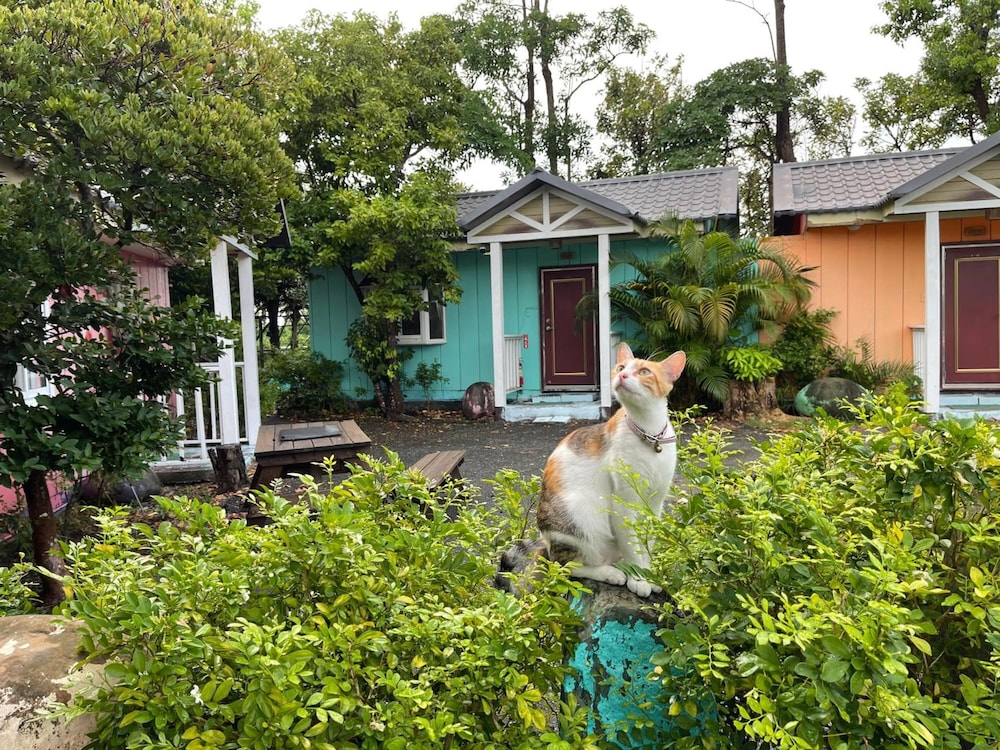 Lanyanginn