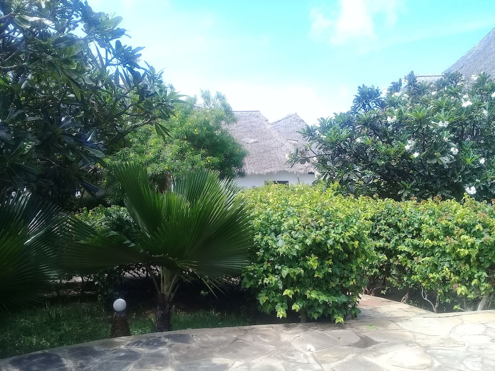 Lion Villa