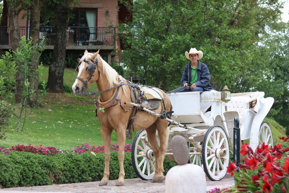 Sierra Lago Resort  Spa - All inclusive - Property Image 64