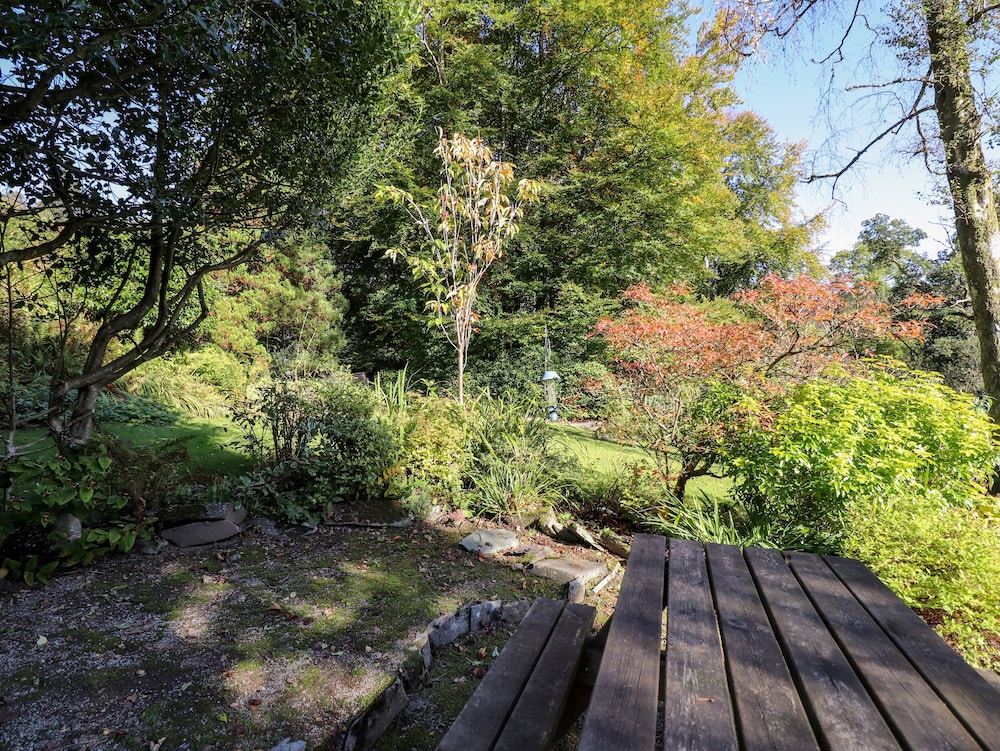 The Mounting Steps