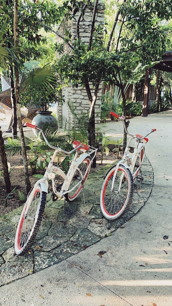 Kimpton Aluna Tulum, an IHG Hotel - Property Image 85