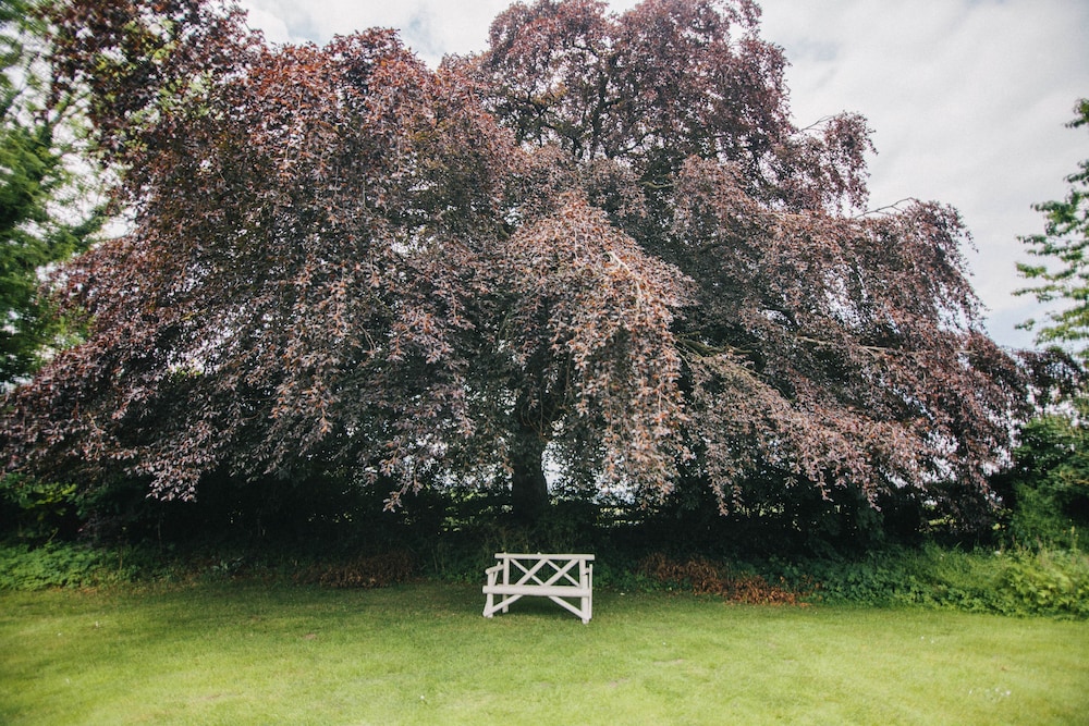 Broncoed Uchaf Country Guest House