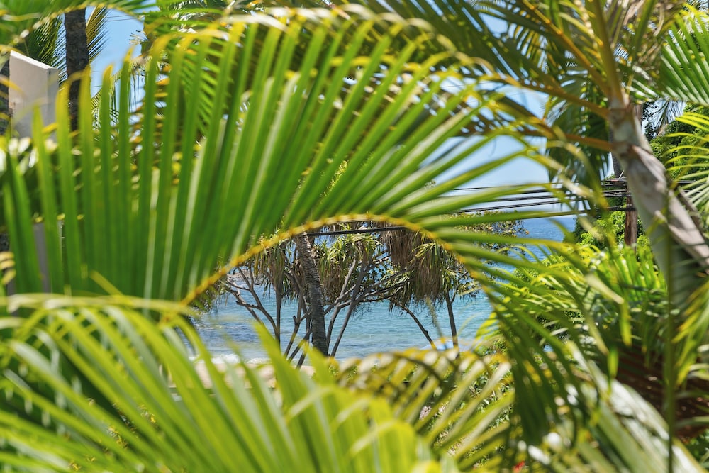 Maui Banyan A-202 by Maui Rental Group