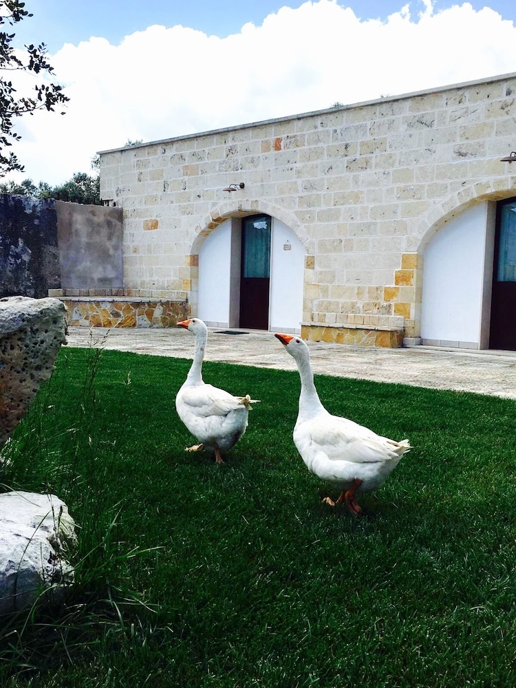 Masseria Pappo