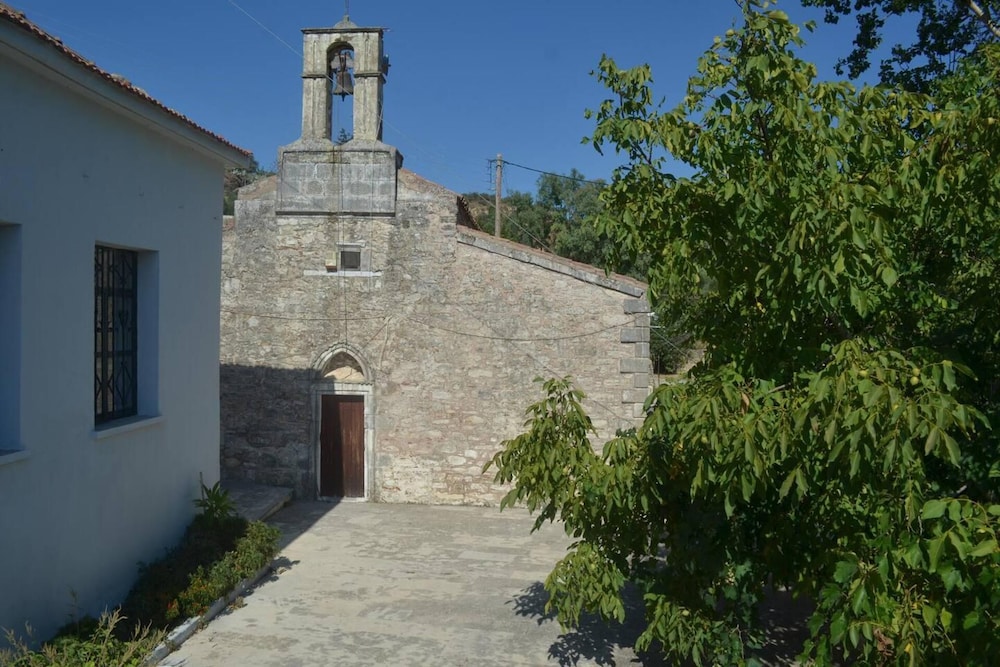 Photo 10