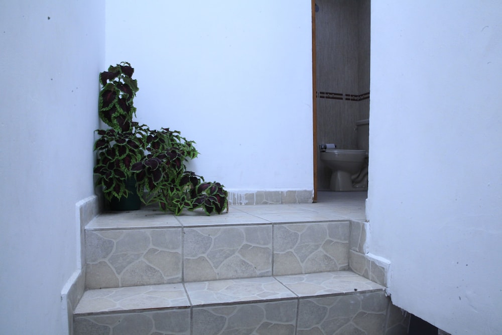 Zacatecas Vacations - Downtown Guest House - Property Image 4