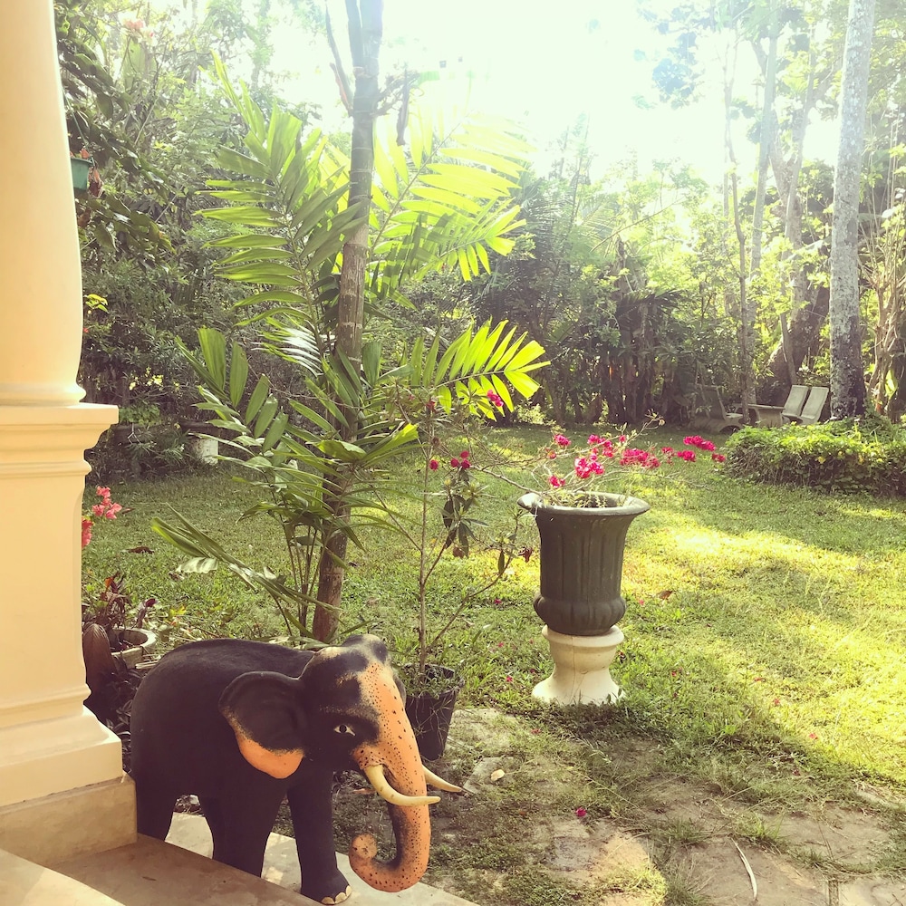 Villa Coconut - Hostel