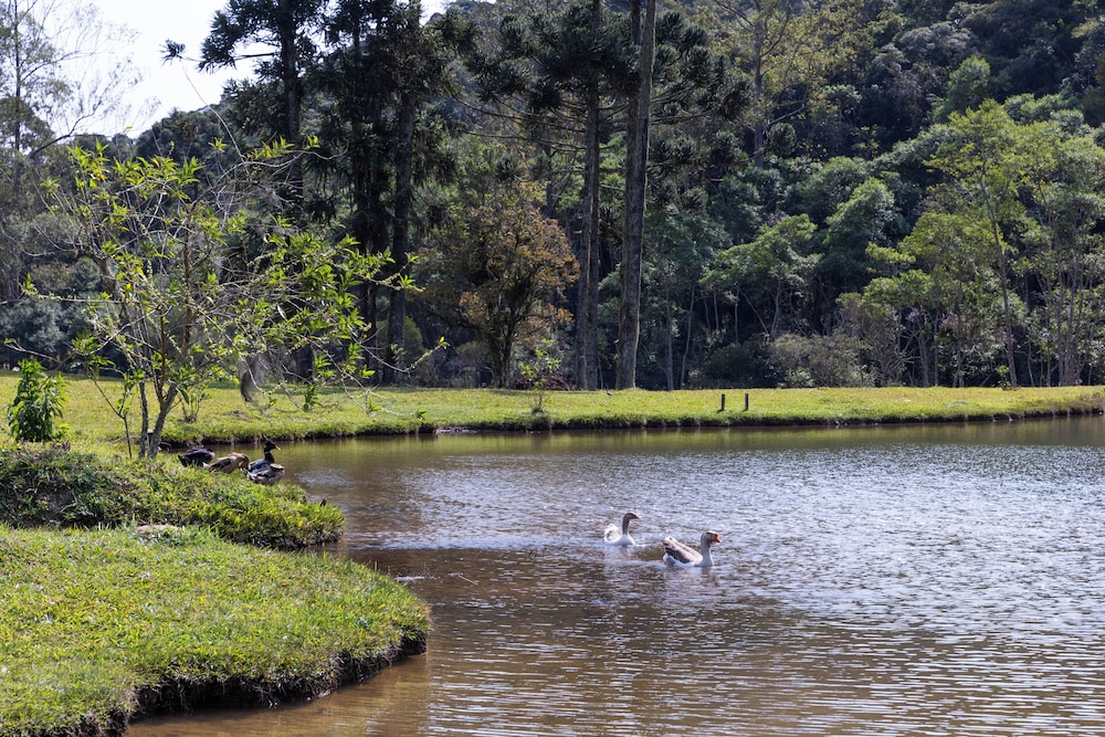 Sitio Natureza piscina e churrasqueira