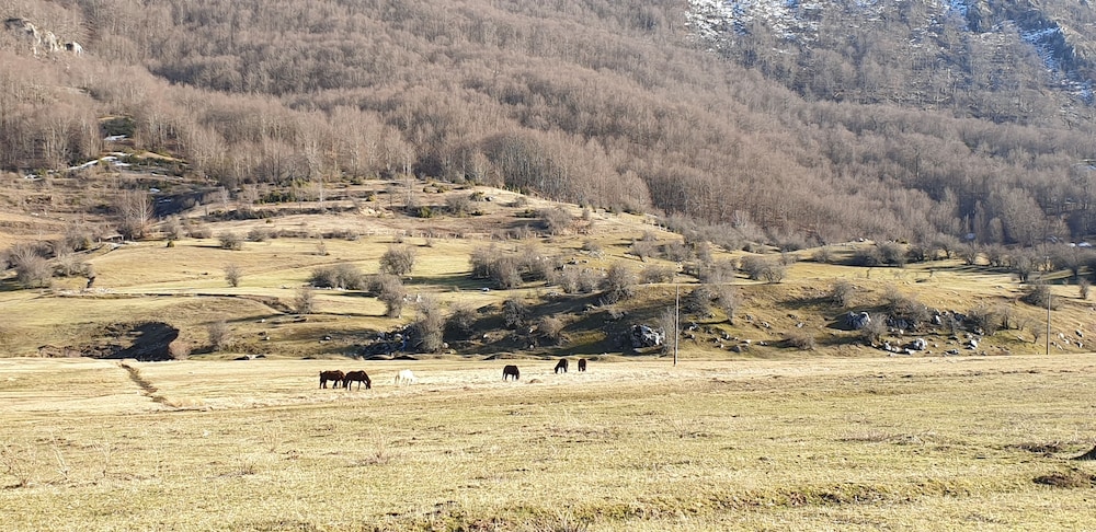 Joen Village