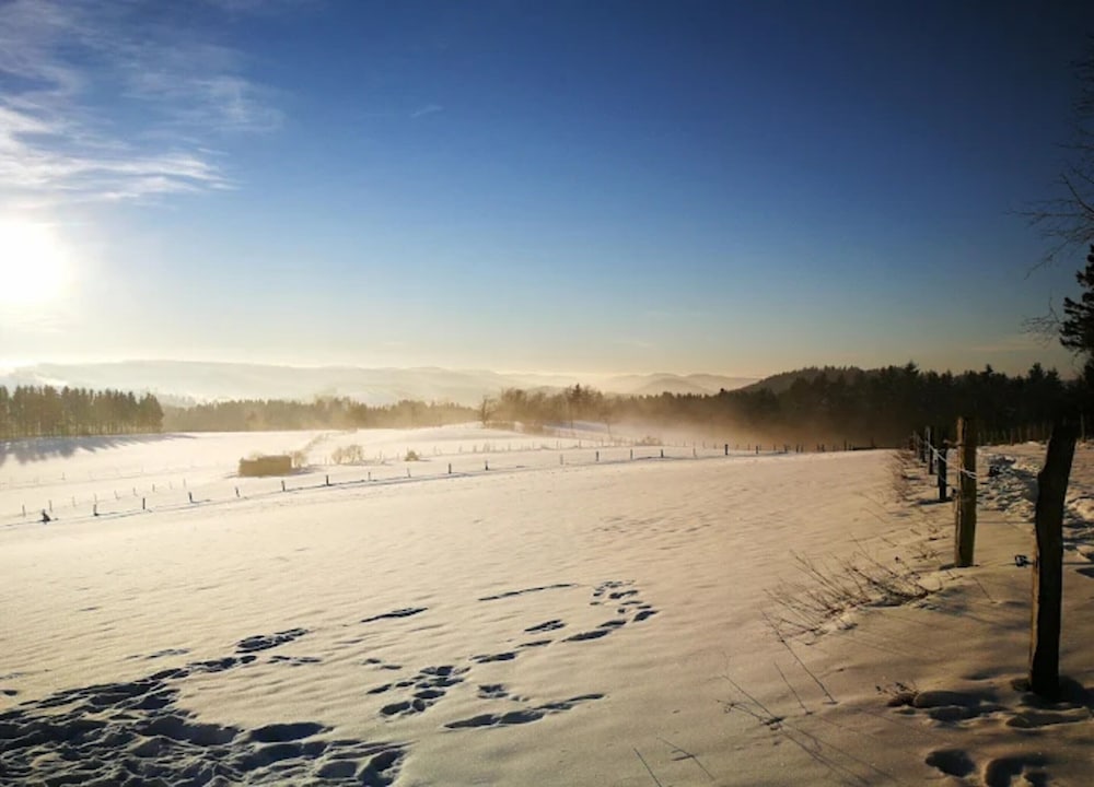 Ferienwohnung mit Aussicht, Neuastenberg