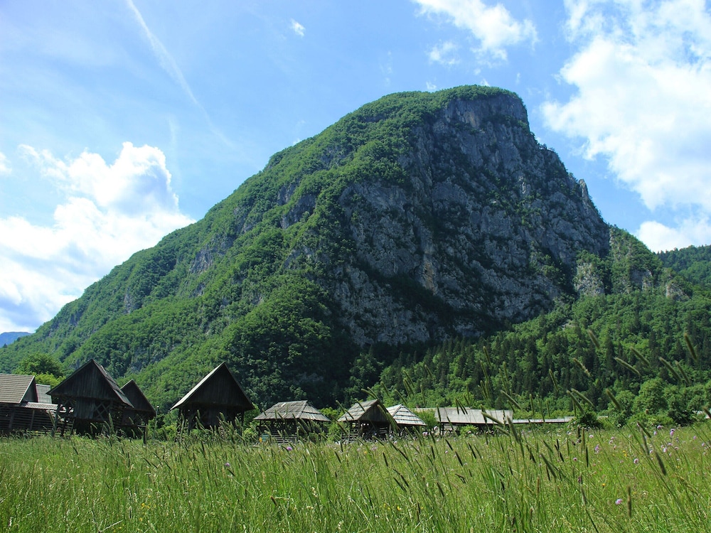 Photo 18