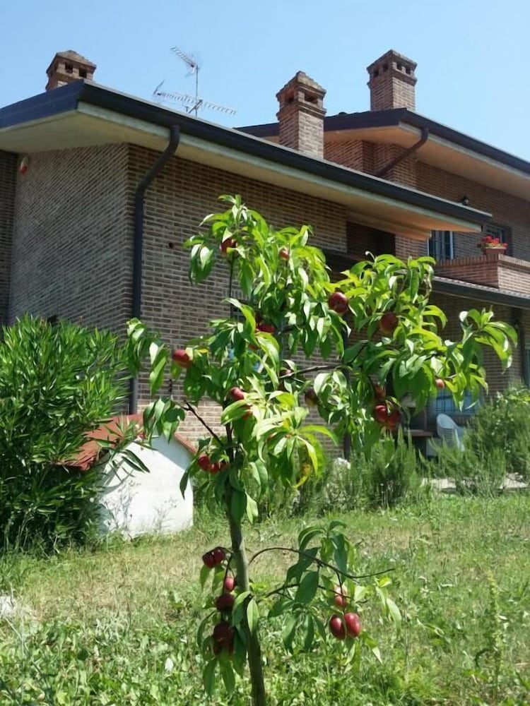 B&B Casa dei Camini