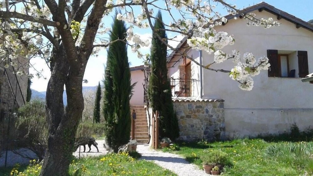 Photo 23